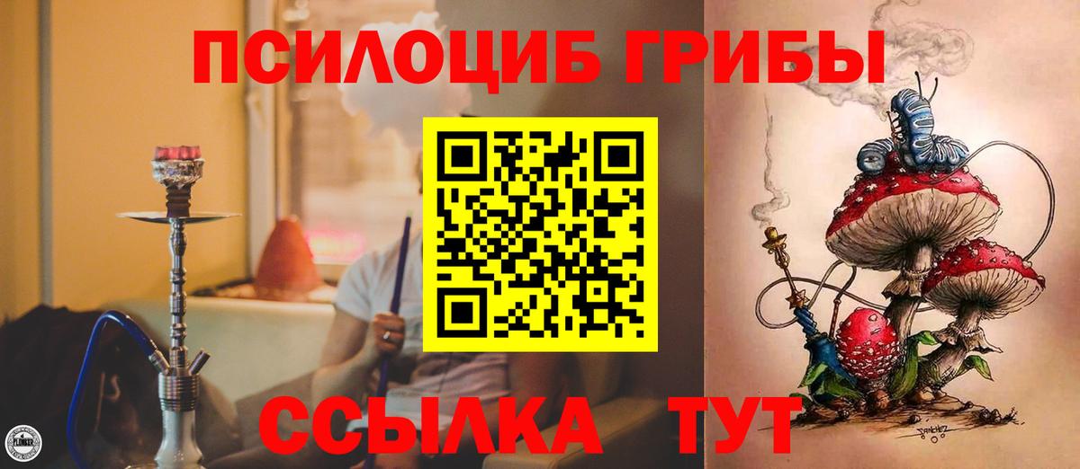 Псилоцибиновые грибы GOLDEN TEACHER  Вход с VPN  Дятьково  Галлюциногенные грибы мухоморы 